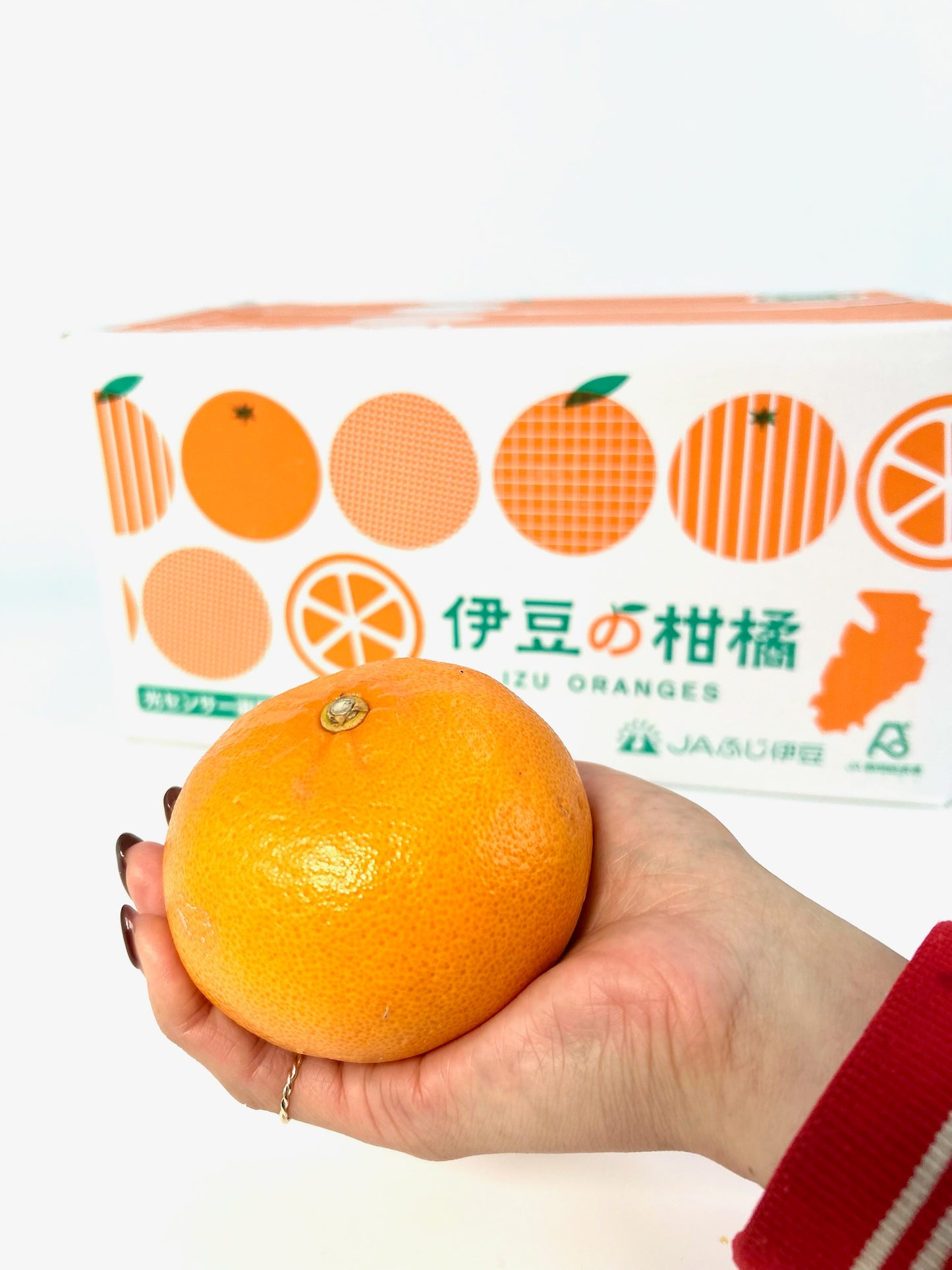 静岡県産 伊豆の「せとか」L~2L約5㎏ 【送料無料】
