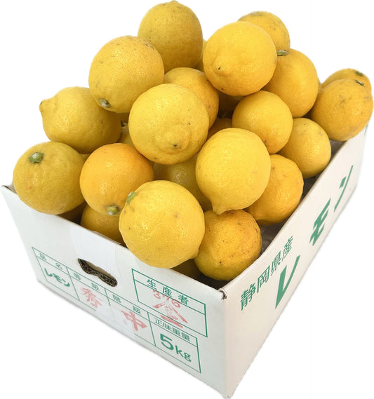 静岡県　沼津市　西浦産「レモン」約５㎏【送料無料】