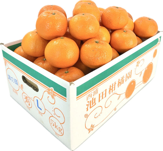 静岡県沼津市西浦　池田柑橘園「津の輝」M～L約５㎏【送料無料】