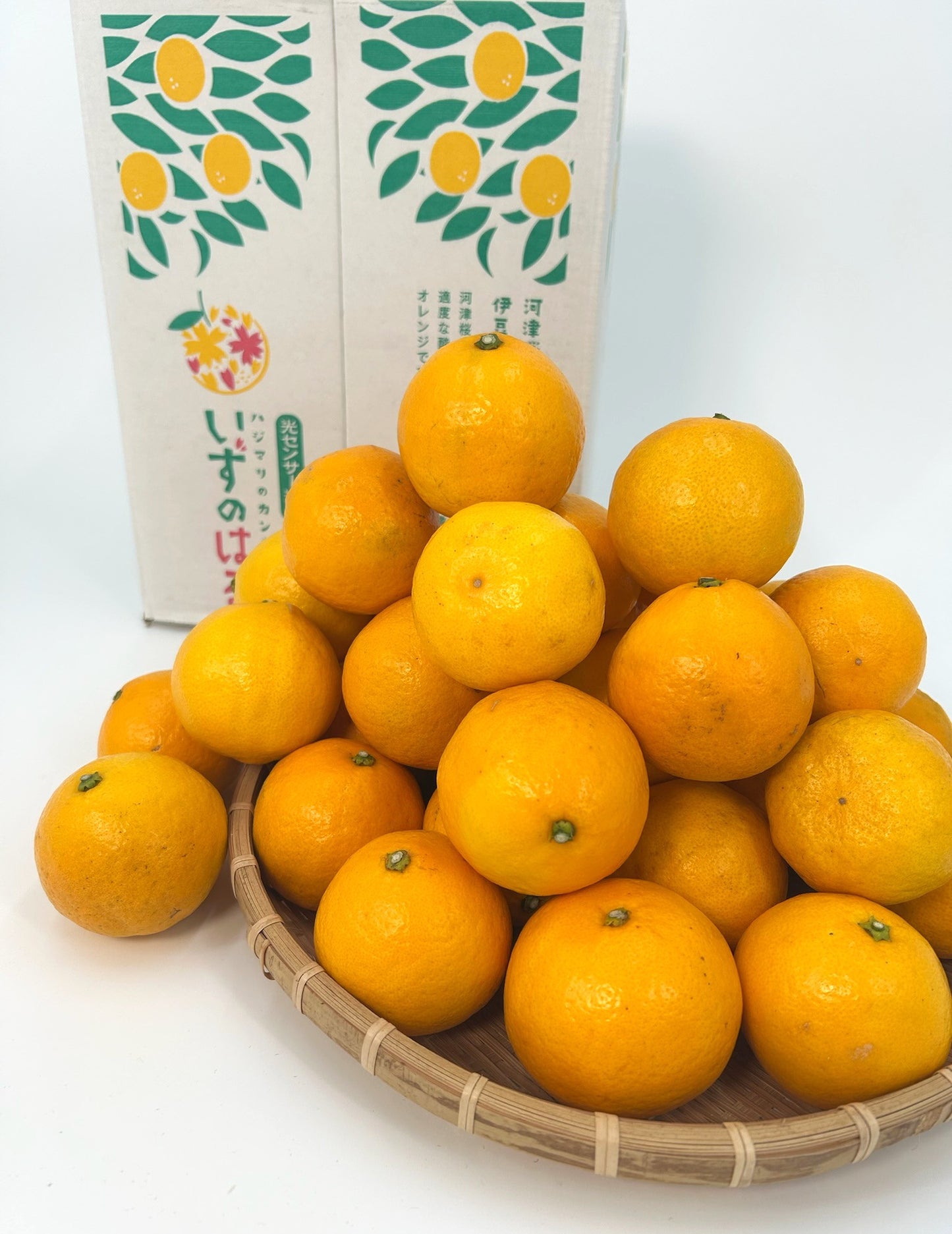 静岡県産「いずのはる」L～２L　約５㎏【送料無料】