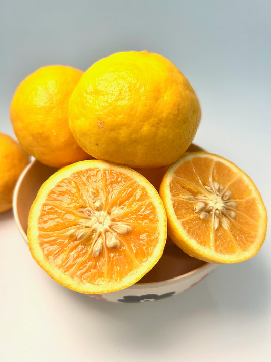 静岡県産「いずのはる」L～２L　約５㎏【送料無料】