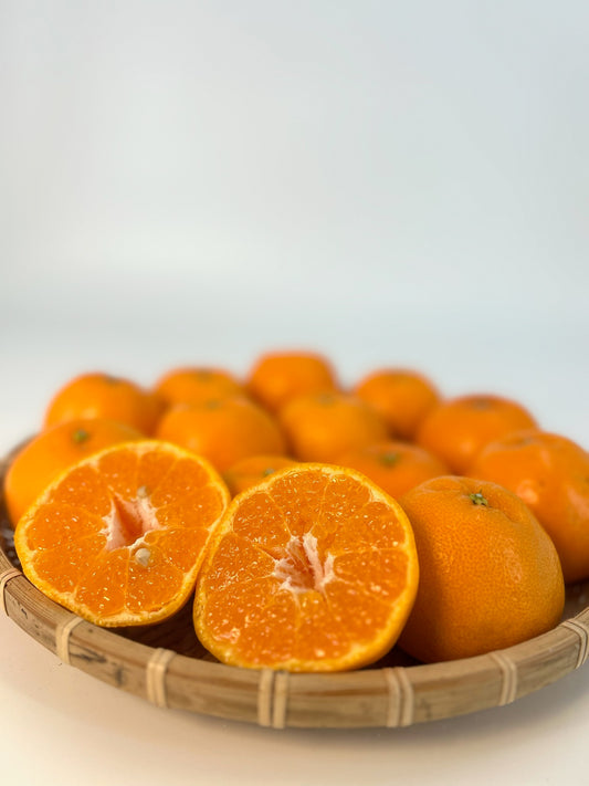 静岡県産東伊豆「はるみ」秀L　約５㎏【送料無料】