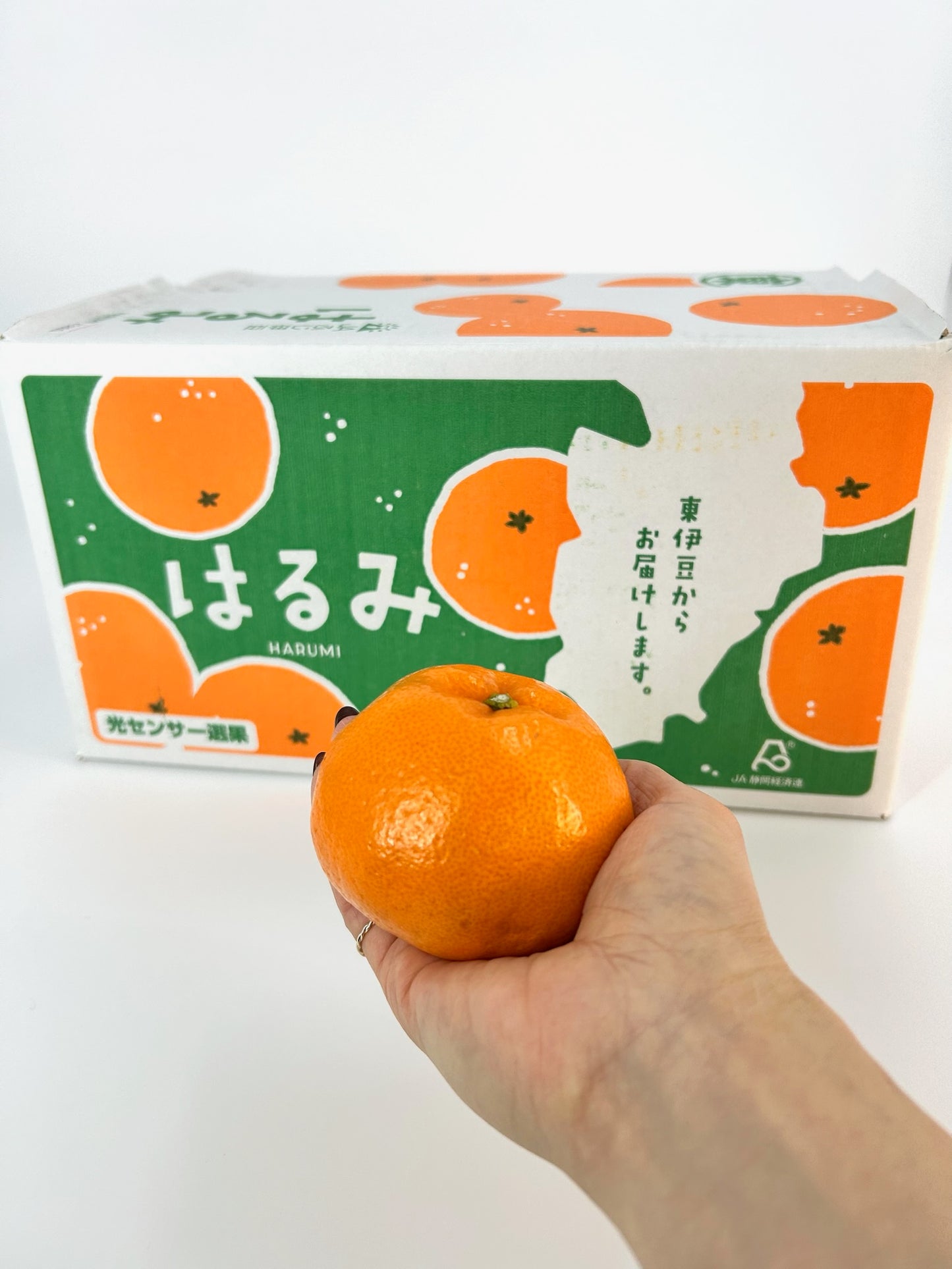 静岡県産東伊豆「はるみ」秀L　約５㎏【送料無料】
