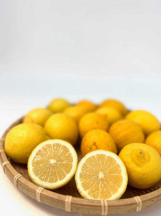 静岡県　沼津市　西浦産「レモン」約５㎏【送料無料】