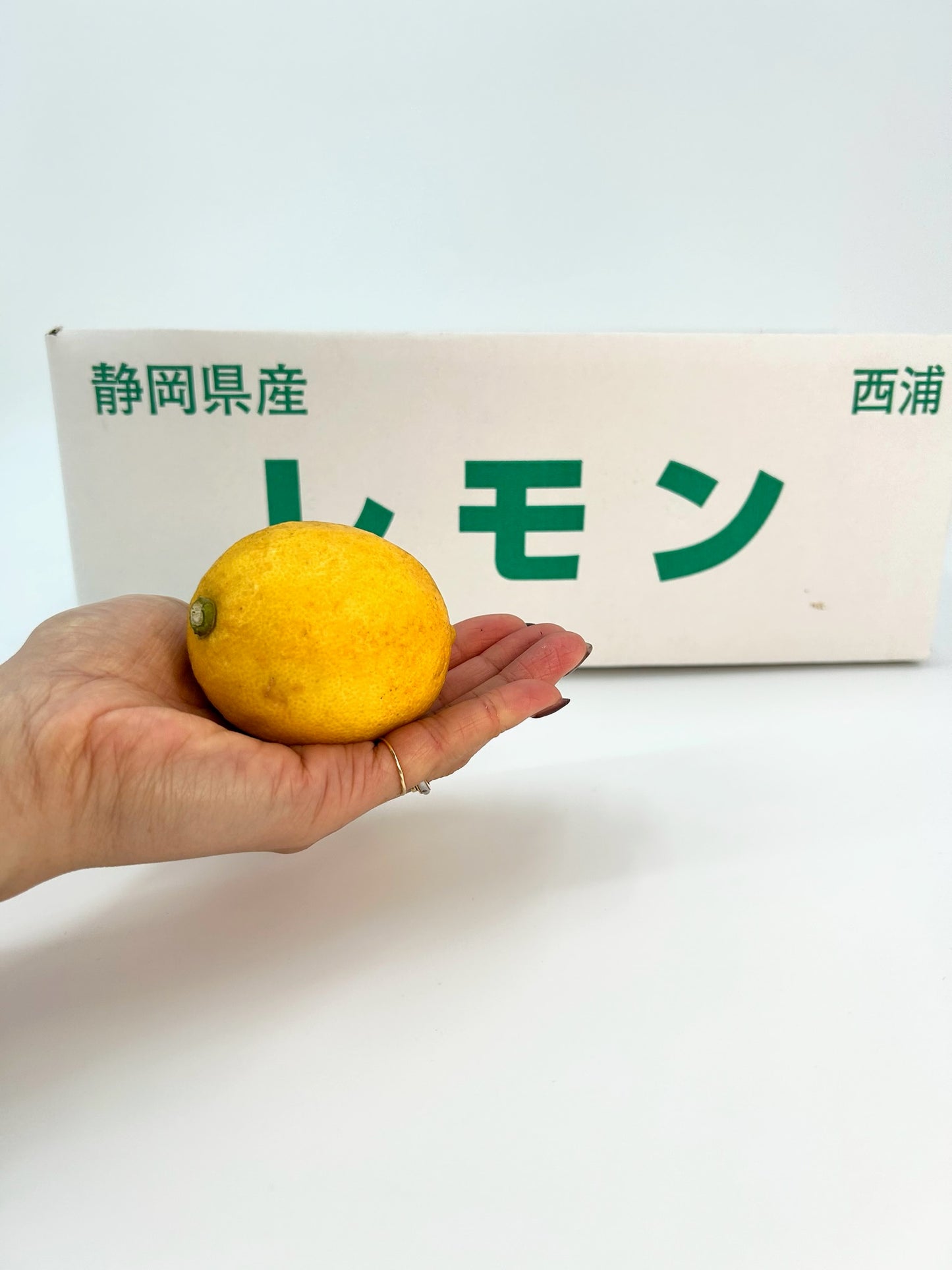 静岡県　沼津市　西浦産「レモン」約５㎏【送料無料】
