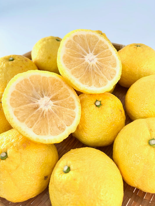 静岡県沼津市西浦　池田柑橘園「はるか」L～2L約5㎏【送料無料】