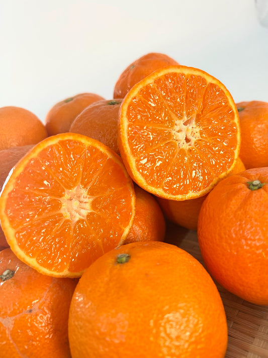 静岡県沼津市西浦　池田柑橘園「津の輝」M～L約５㎏【送料無料】