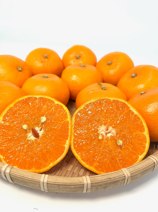 静岡県産　伊豆の「せとか」L～２L約5㎏　【送料無料】