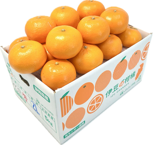 静岡県産　伊豆の「せとか」L～２L約5㎏　【送料無料】