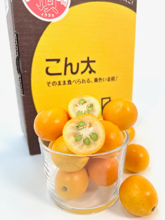 静岡県産清水の「こん太」２Lｻｲｽﾞ１㎏【送料無料】