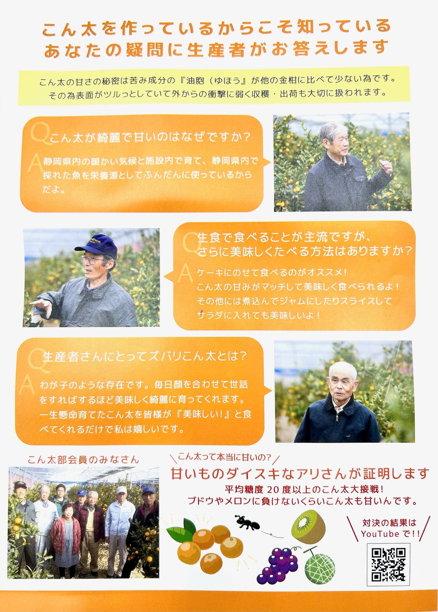 静岡県産清水の「こん太」２Lｻｲｽﾞ１㎏【送料無料】